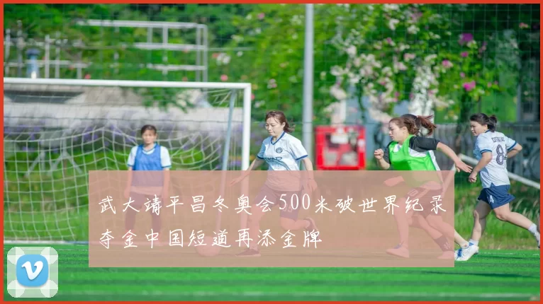 武大靖平昌冬奥会500米破世界纪录夺金中国短道再添金牌