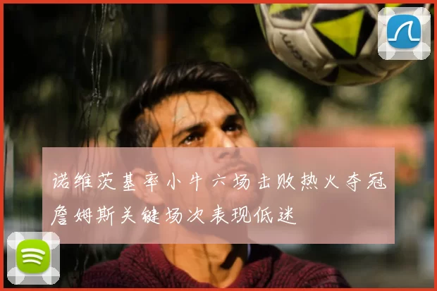 诺维茨基率小牛六场击败热火夺冠詹姆斯关键场次表现低迷