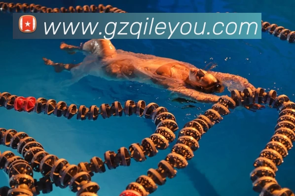 数据防护可视化